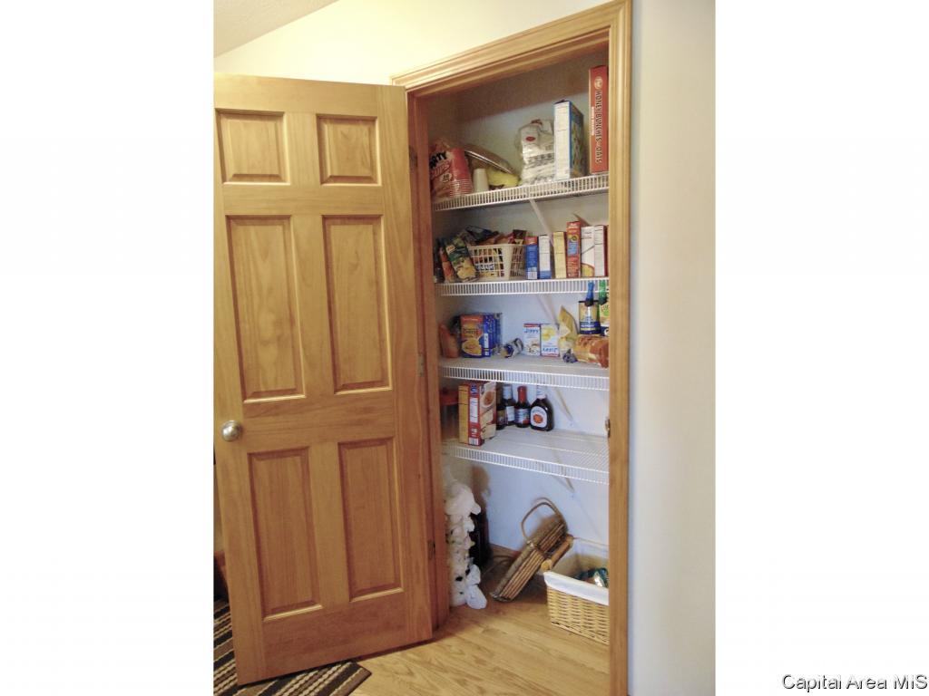 302 Butler Lane Chatham, IL 62629 - Photo 13 of 36 Gallery Image 13