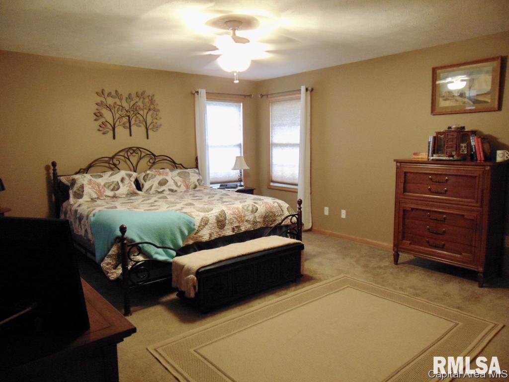 302 Butler Lane Chatham, IL 62629 - Photo 15 of 36 Gallery Image 15