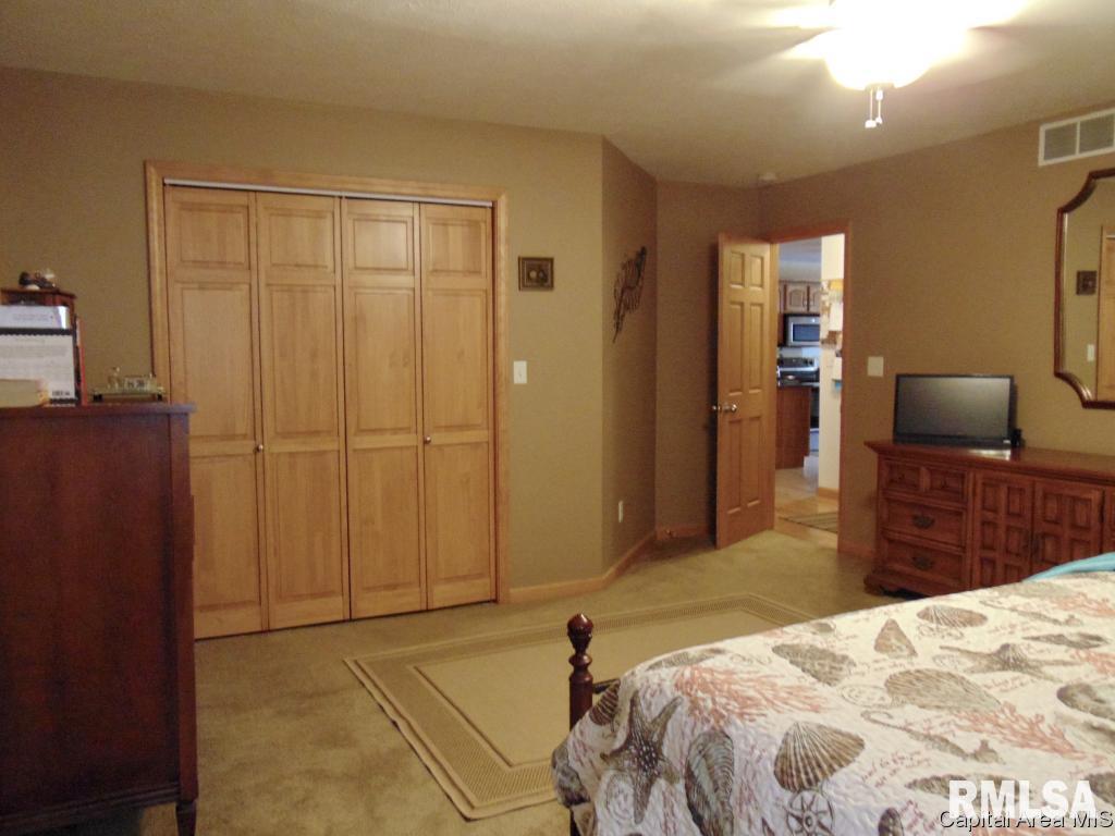 302 Butler Lane Chatham, IL 62629 - Photo 16 of 36 Gallery Image 16
