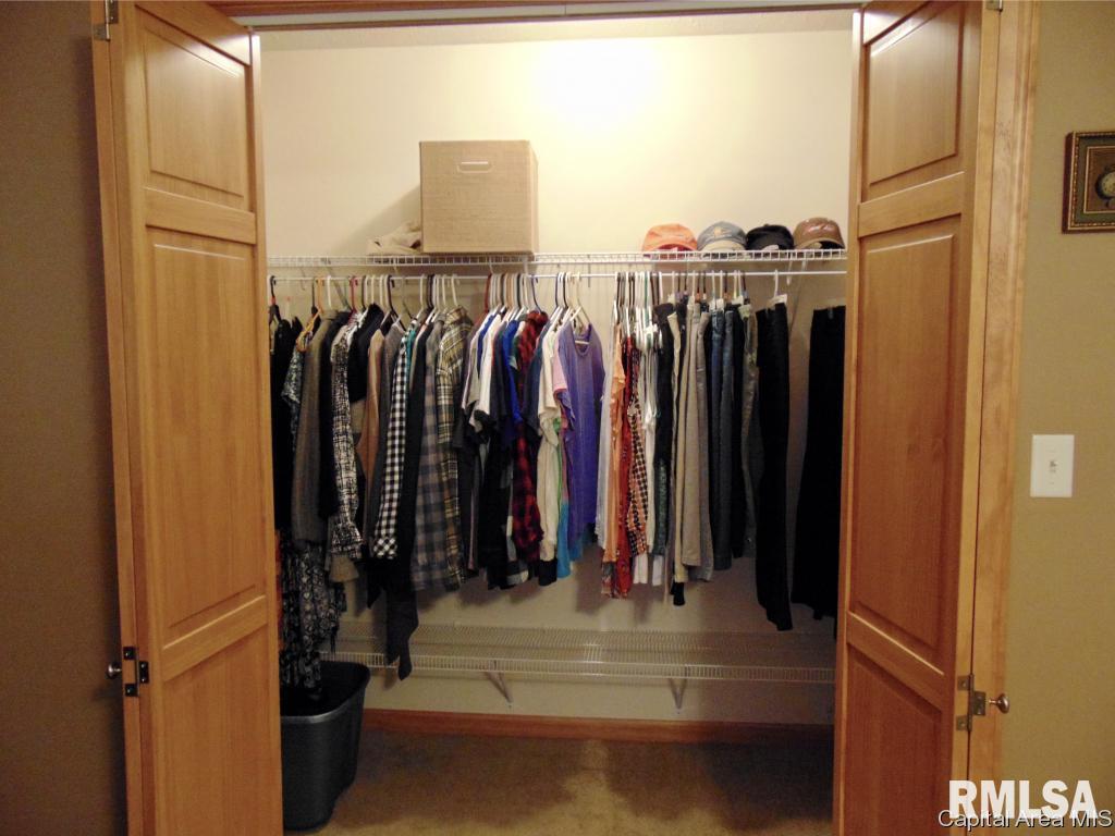 302 Butler Lane Chatham, IL 62629 - Photo 20 of 36 Gallery Image 20