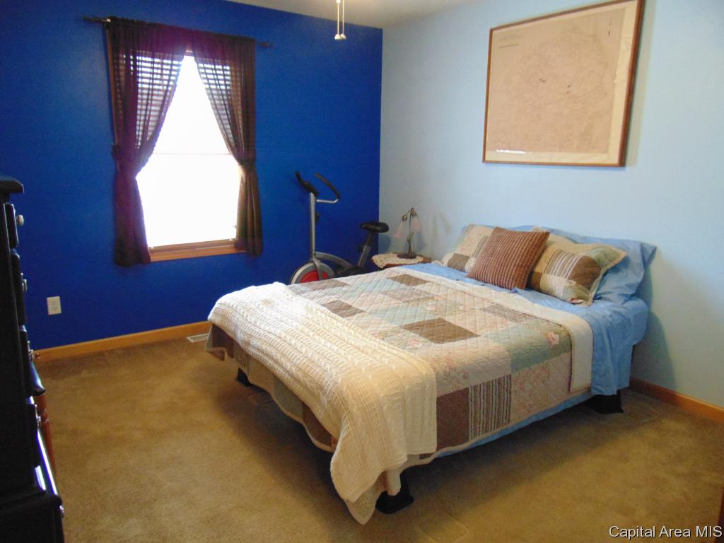 302 Butler Lane Chatham, IL 62629 - Photo 21 of 36 Gallery Image 21