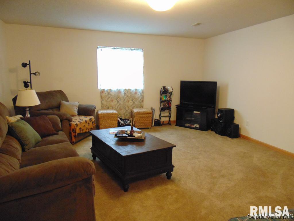 302 Butler Lane Chatham, IL 62629 - Photo 27 of 36 Gallery Image 27