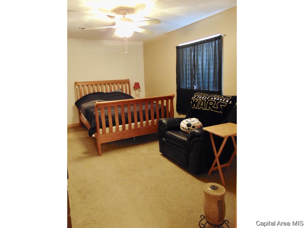 302 Butler Lane Chatham, IL 62629 - Photo 29 of 36 Gallery Image 29