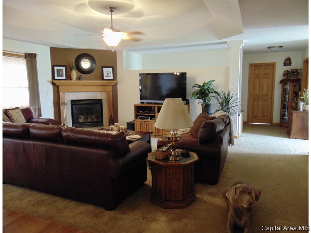 302 Butler Lane Chatham, IL 62629 - Photo 3 of 36 Gallery Image 3