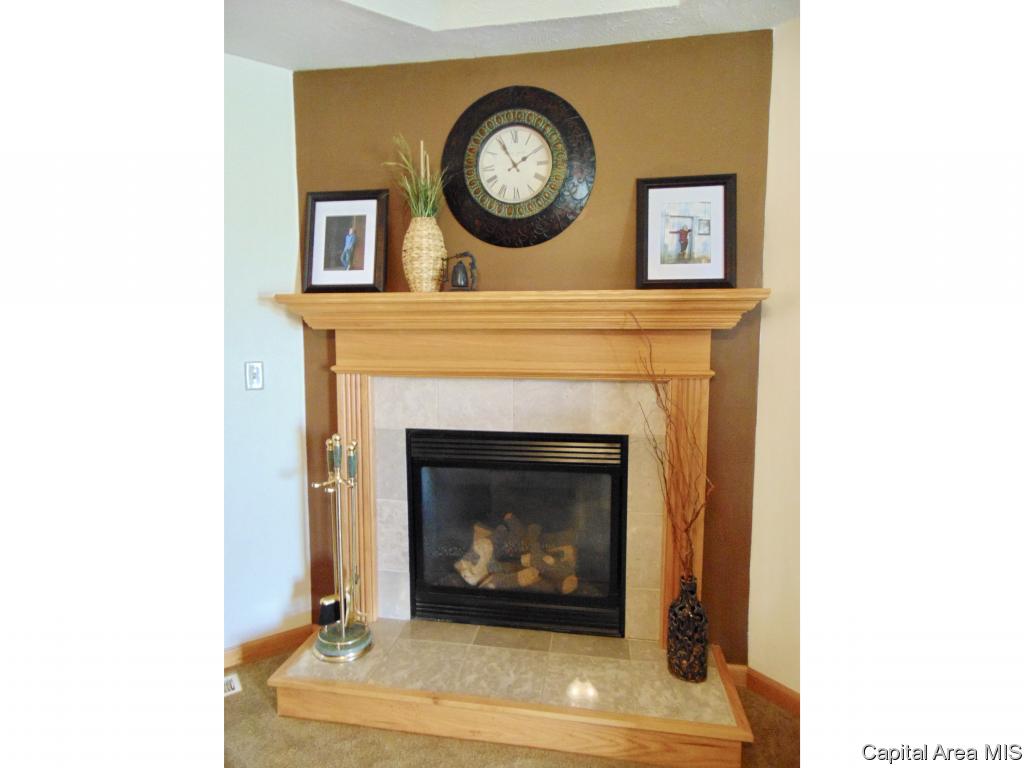 302 Butler Lane Chatham, IL 62629 - Photo 4 of 36 Gallery Image 4