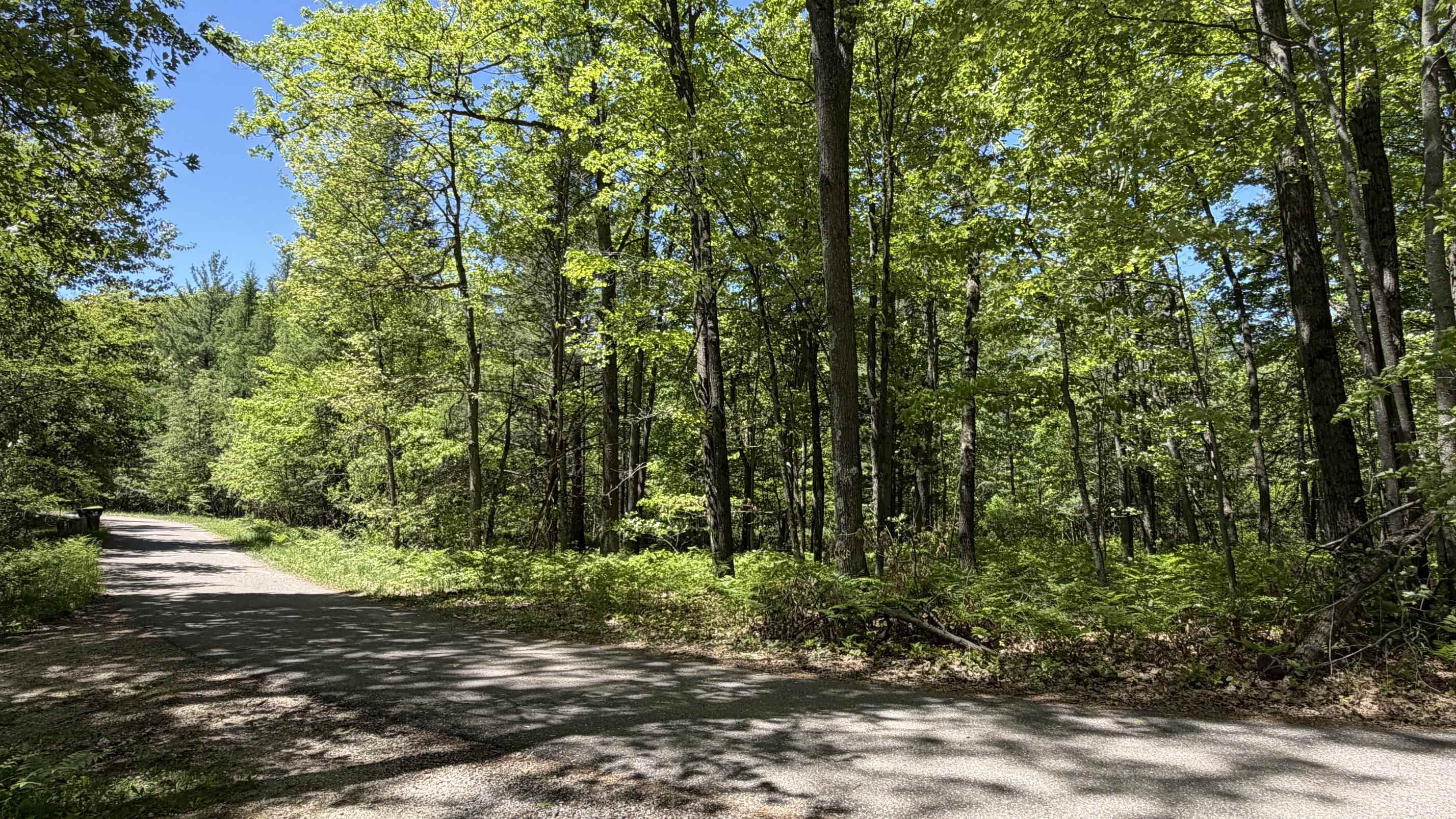 Tbd West Lk George Drive Harrison, MI 48625 - Photo 3 of 13