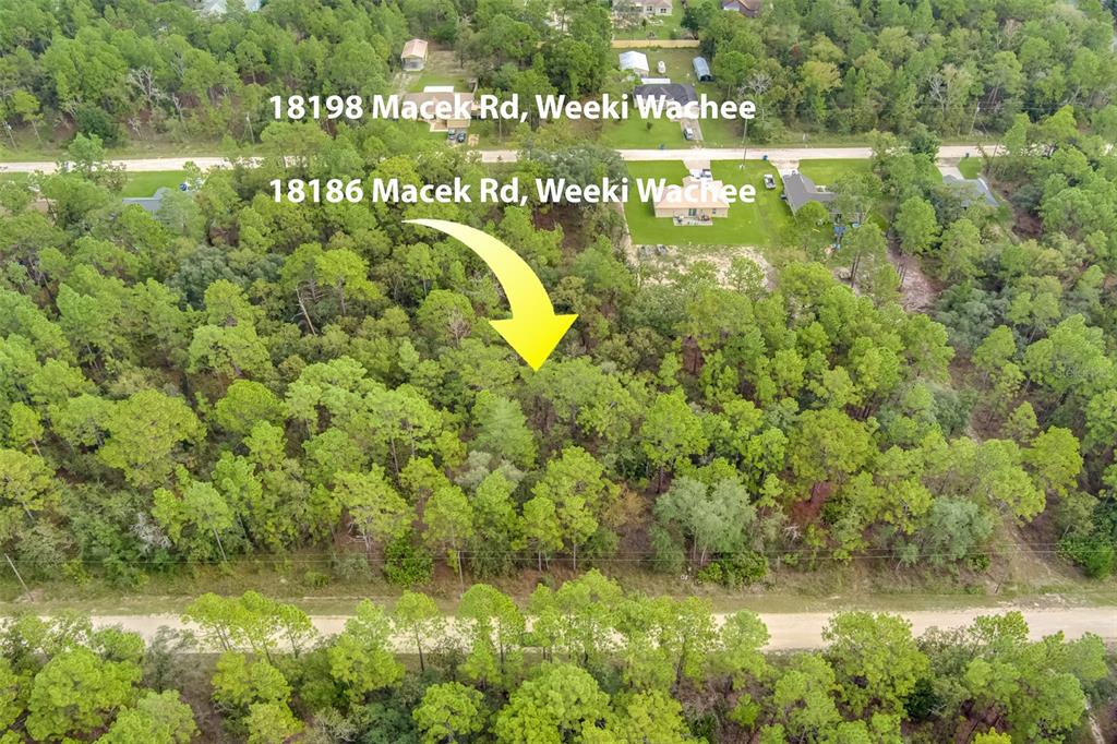 18186 Macek Road Weeki Wachee, FL 34614 - Photo 1 of 1 Gallery Image 1