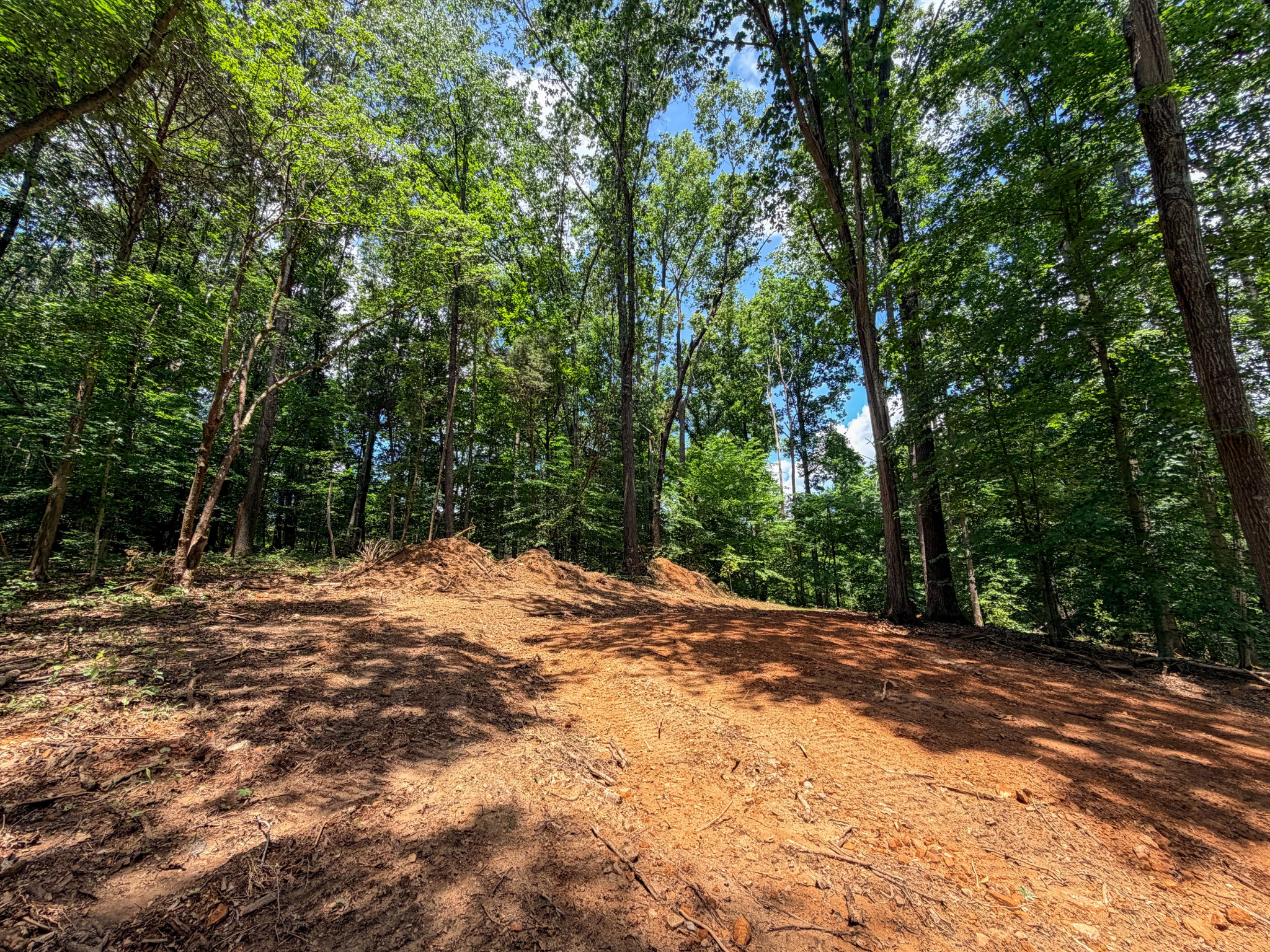 1 Budds Creek Road Palmyra, TN 37142 - Photo 58 of 76