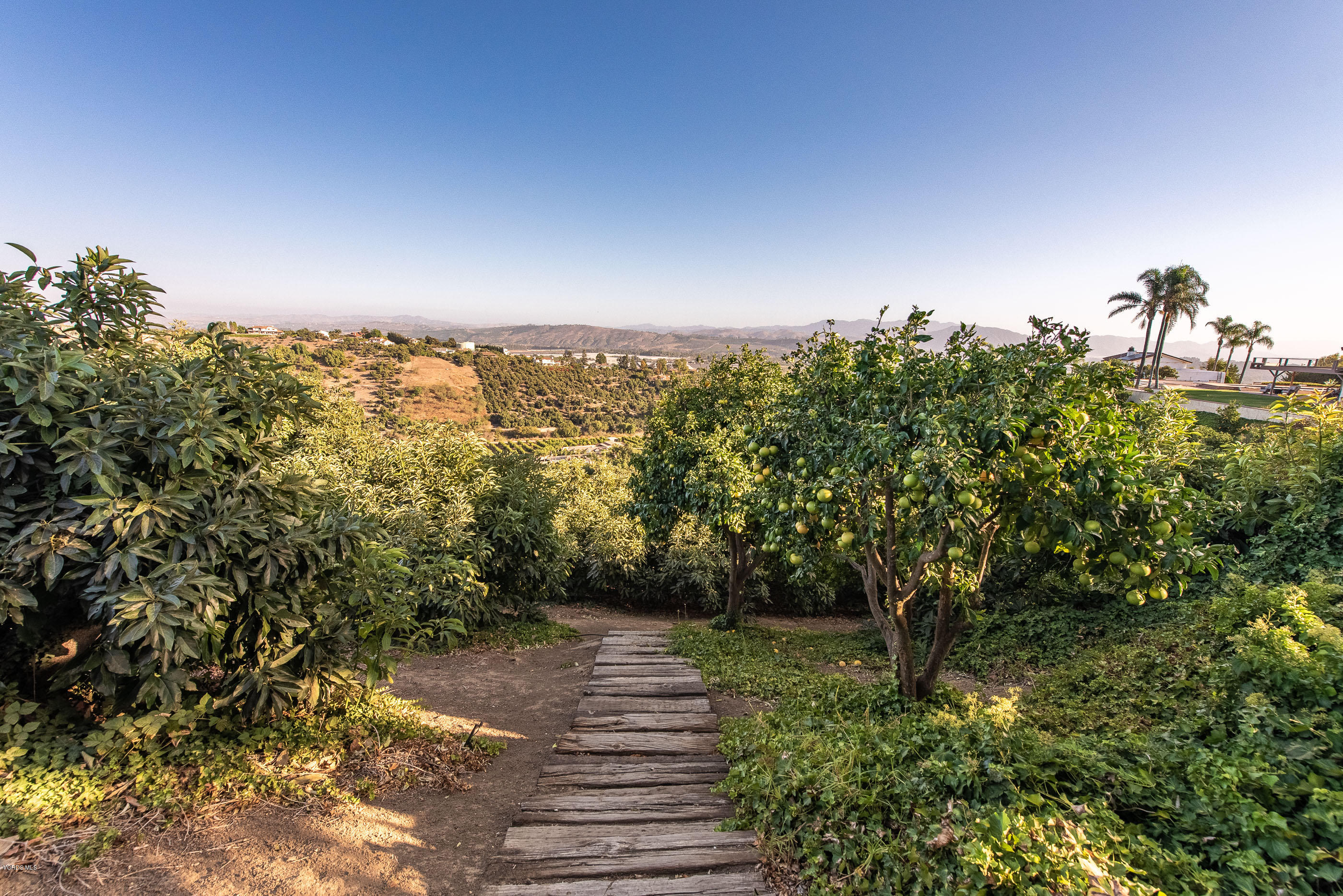 6138 West Greentree Drive Somis, CA 93066 - Photo 13 of 61 a view of a yard