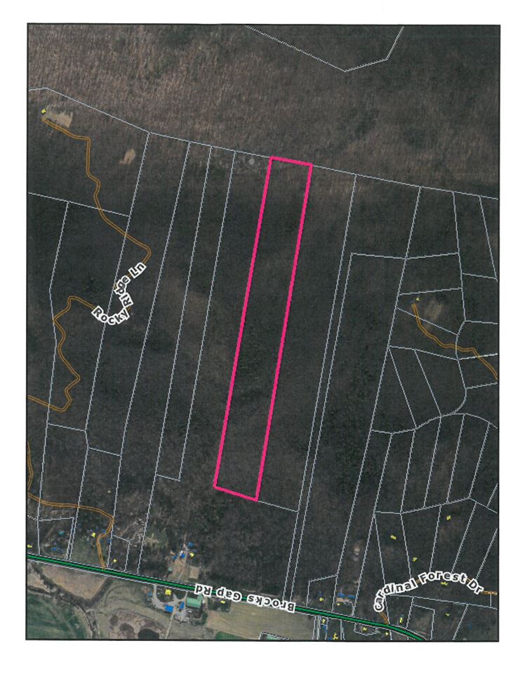 Tbd Tbd Brocks Gap Road Fulks Run, VA 22830 - Photo 1 of 12 Gallery Image 1