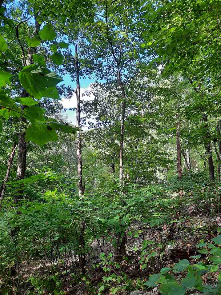 Tbd Tbd Brocks Gap Road Fulks Run, VA 22830 - Photo 11 of 12 Gallery Image 11