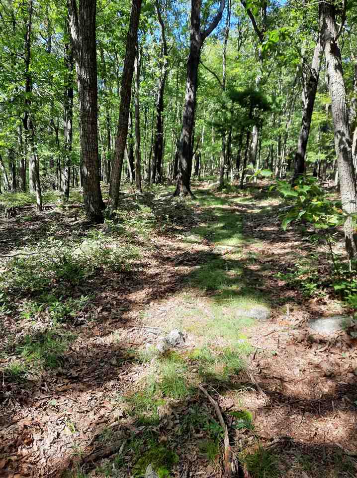 Tbd Tbd Brocks Gap Road Fulks Run, VA 22830 - Photo 12 of 12 Gallery Image 12