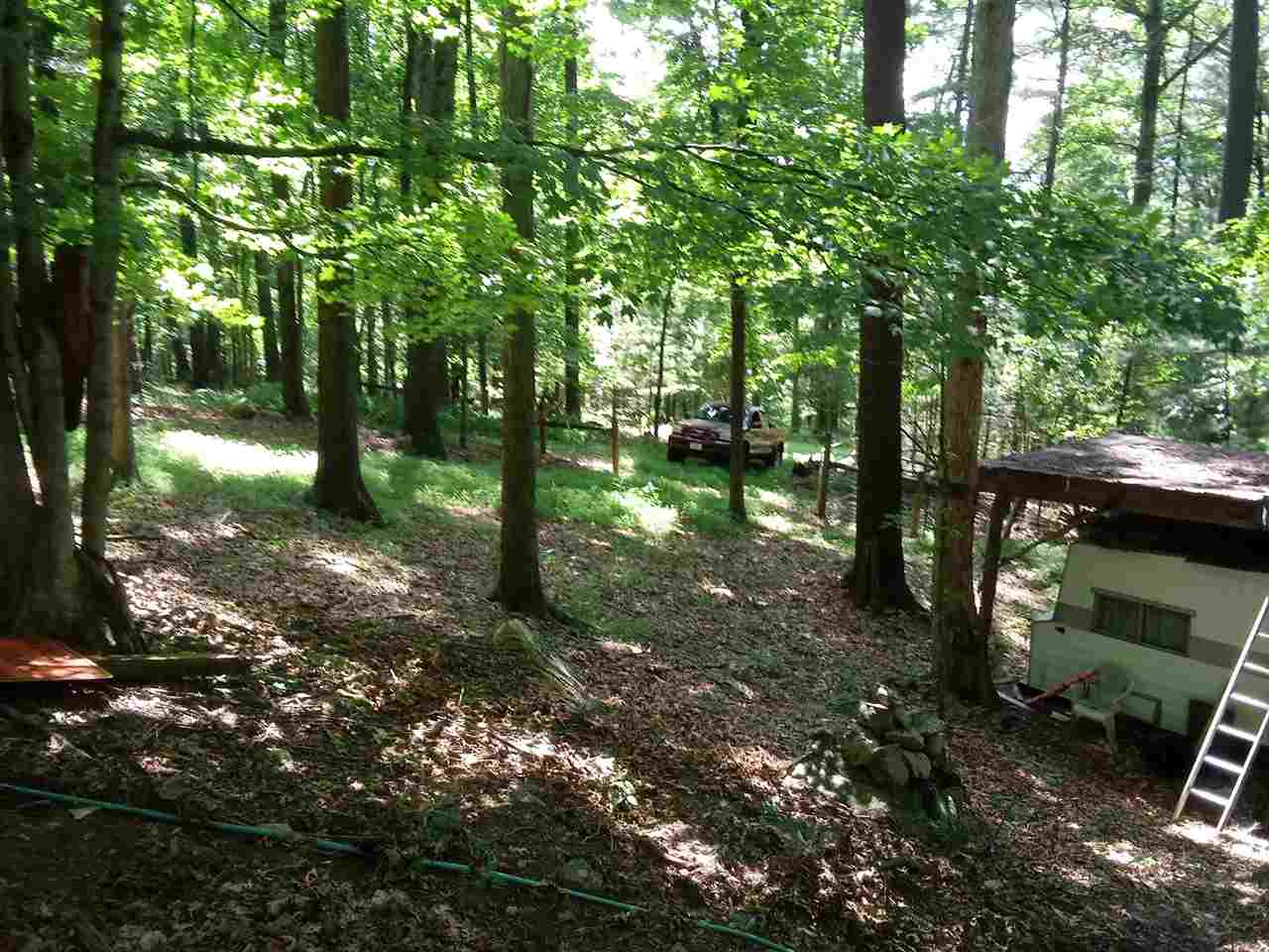 Tbd Tbd Brocks Gap Road Fulks Run, VA 22830 - Photo 2 of 12 Gallery Image 2