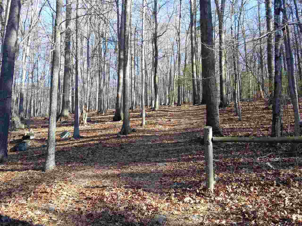 Tbd Tbd Brocks Gap Road Fulks Run, VA 22830 - Photo 3 of 12 Gallery Image 3