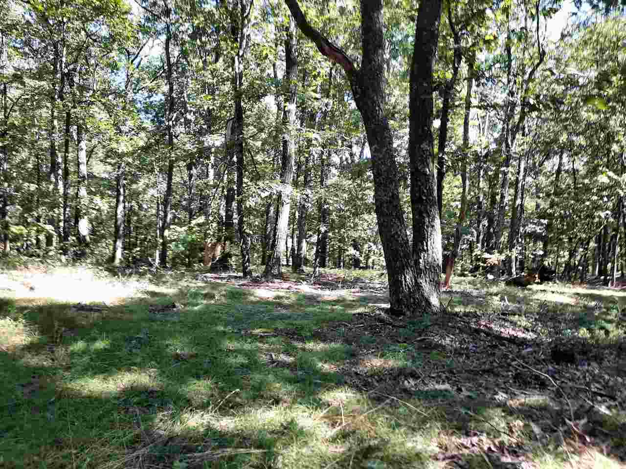 Tbd Tbd Brocks Gap Road Fulks Run, VA 22830 - Photo 5 of 12 Gallery Image 5