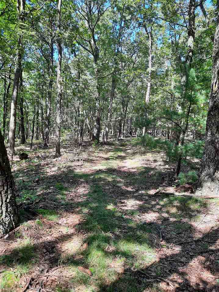 Tbd Tbd Brocks Gap Road Fulks Run, VA 22830 - Photo 6 of 12 Gallery Image 6