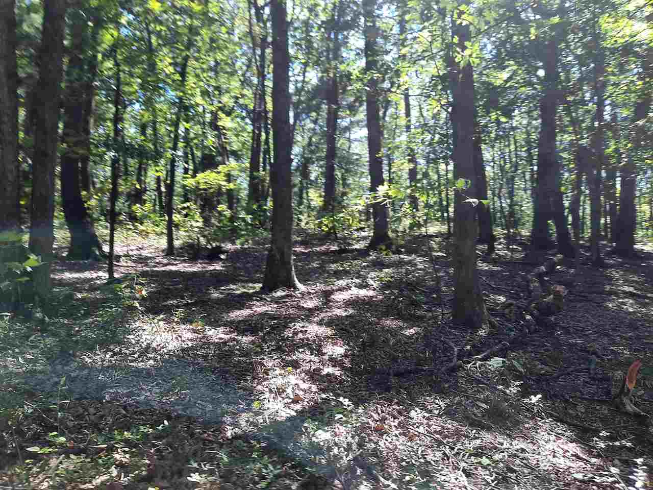 Tbd Tbd Brocks Gap Road Fulks Run, VA 22830 - Photo 7 of 12 Gallery Image 7