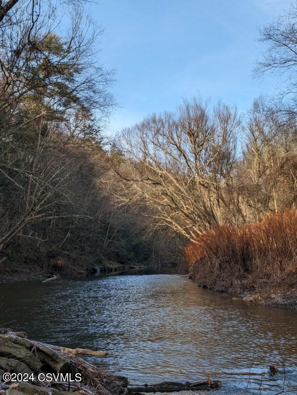 0 State Route 239 Road Huntington Mills, PA 18622 - Photo 6 of 10 Gallery Image 6