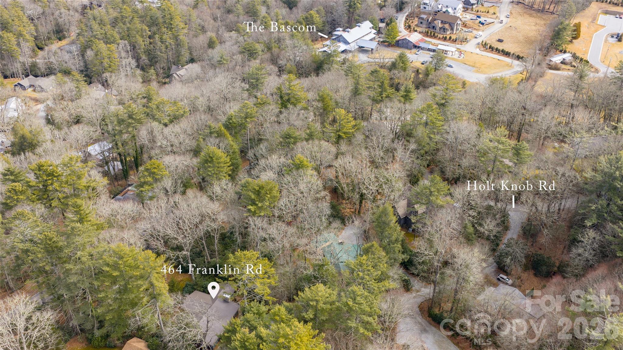 464 Franklin Road Highlands, NC 28741 - Photo 43 of 44 a view of a forest with a tree