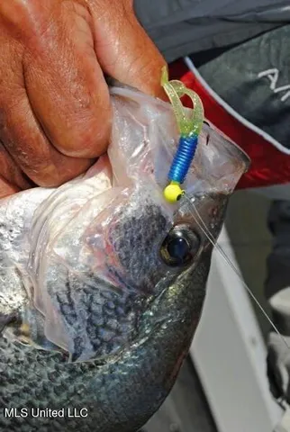 $179,900 | 1810 County Road 170, Oakland, MS 38948