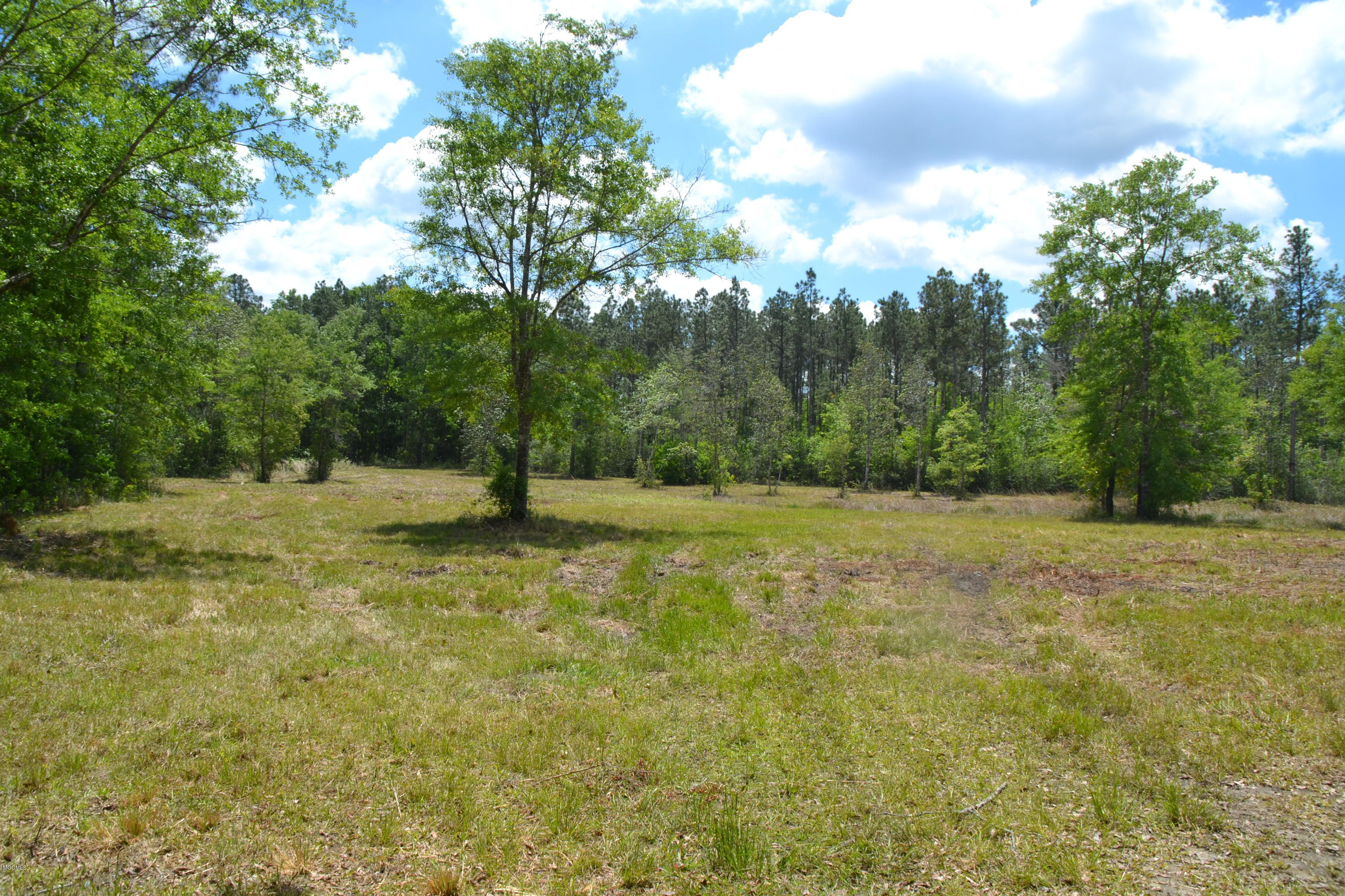 6357 Jordan Road Perkinston, MS 39573 - Photo 1 of 12 DSC_0064