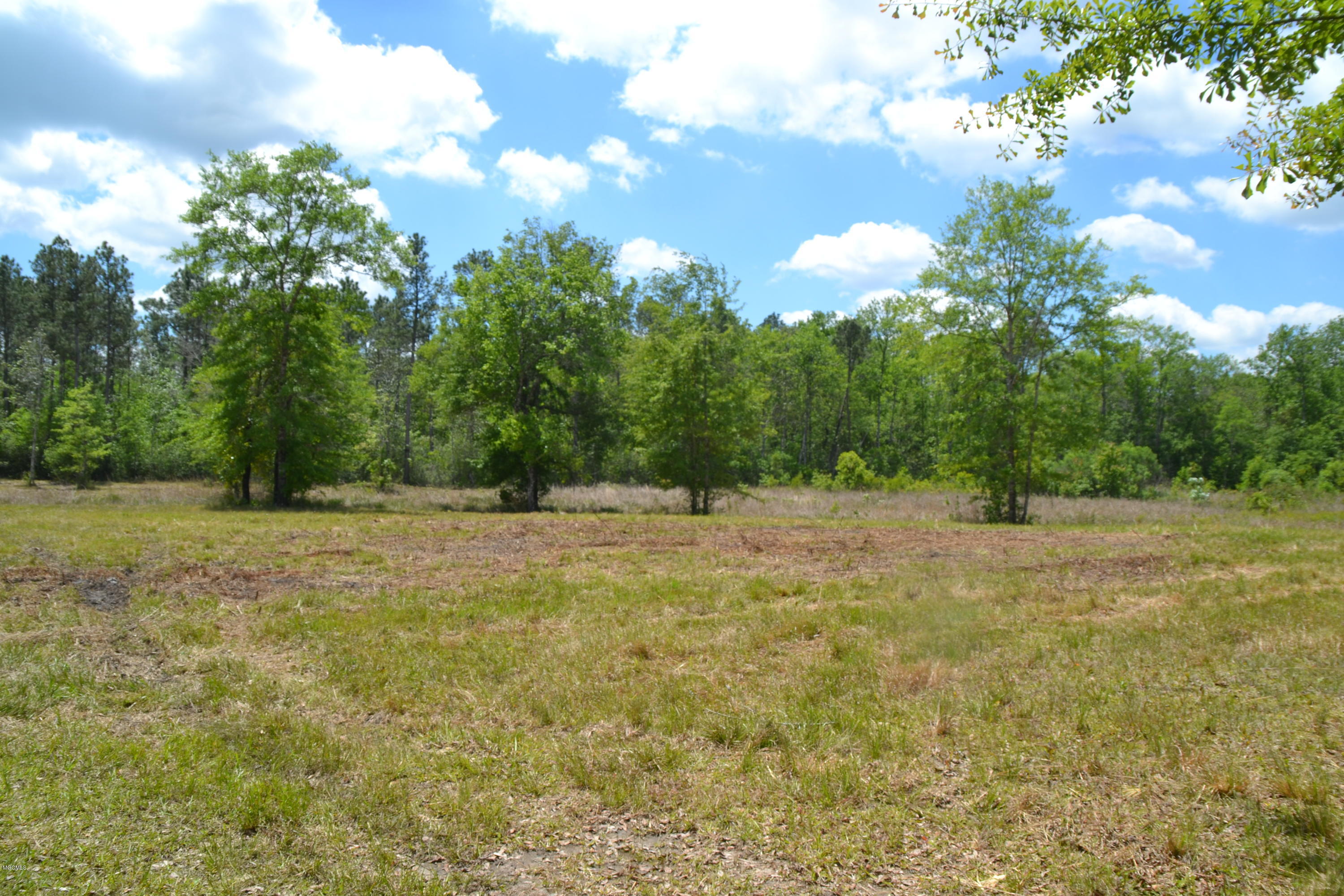 6357 Jordan Road Perkinston, MS 39573 - Photo 3 of 12 DSC_0065
