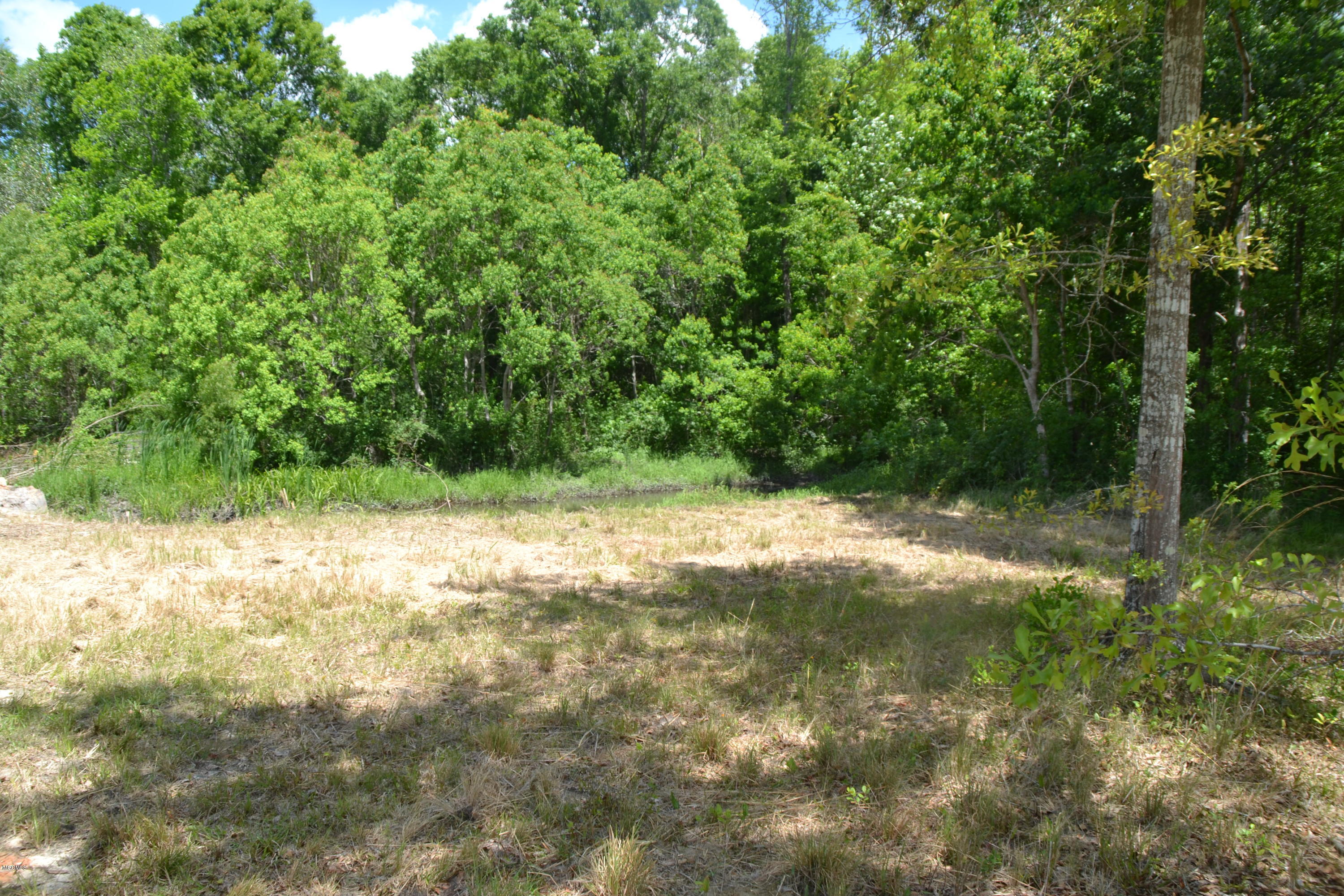 6357 Jordan Road Perkinston, MS 39573 - Photo 4 of 12 DSC_0068