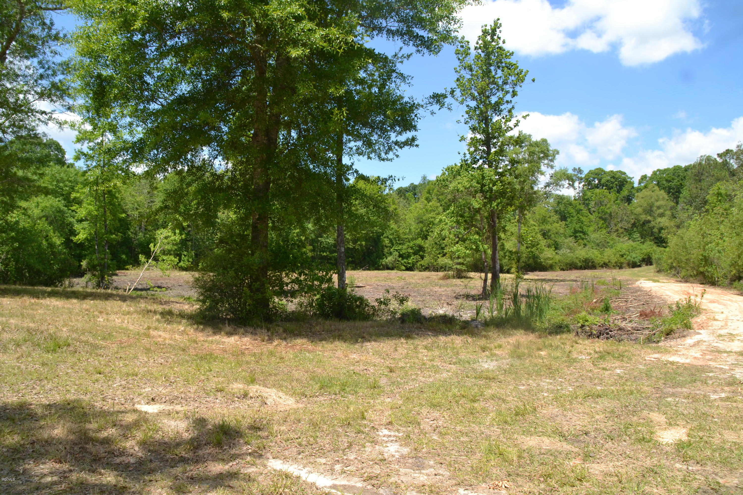6357 Jordan Road Perkinston, MS 39573 - Photo 7 of 12 DSC_0071