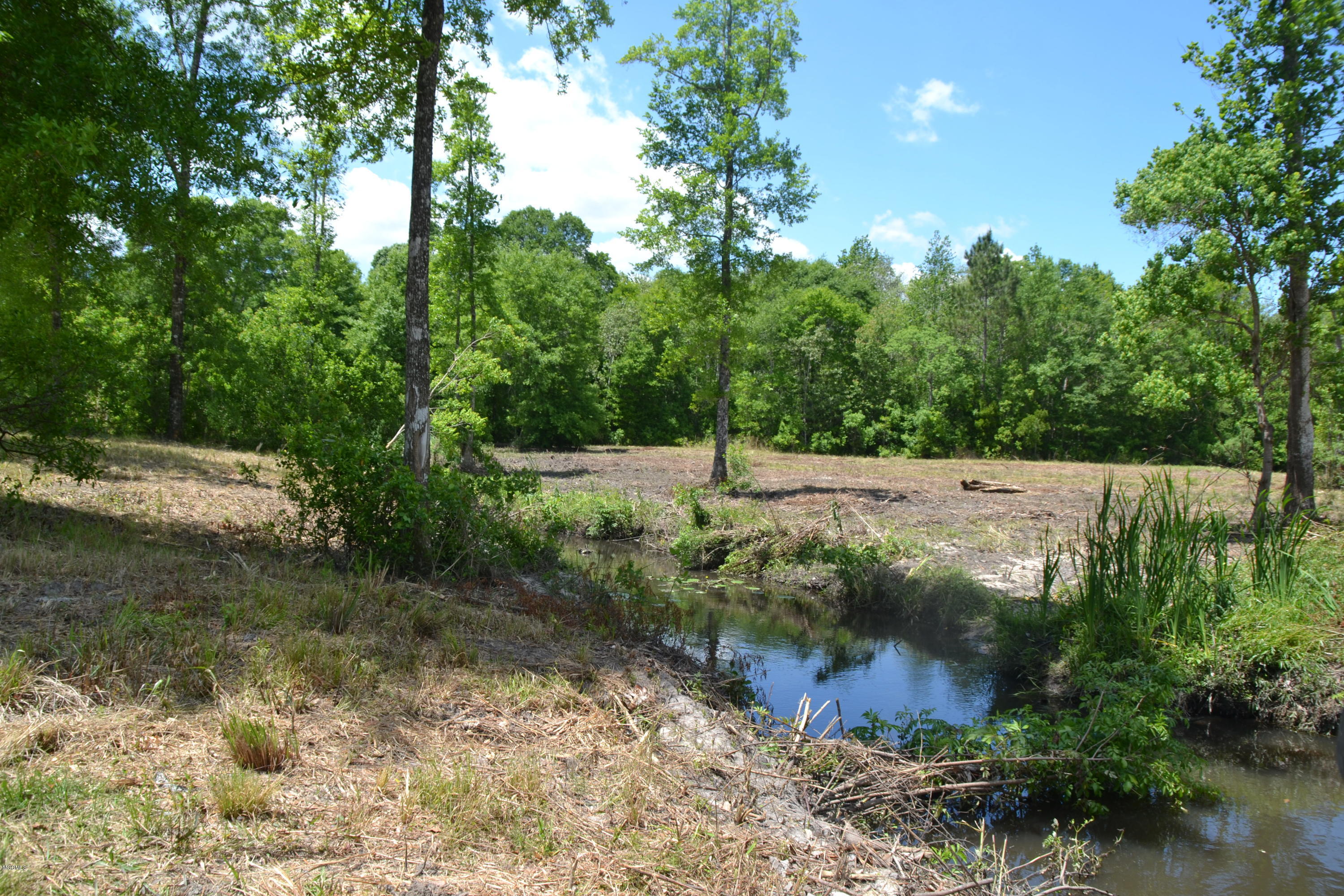 6357 Jordan Road Perkinston, MS 39573 - Photo 8 of 12 DSC_0073