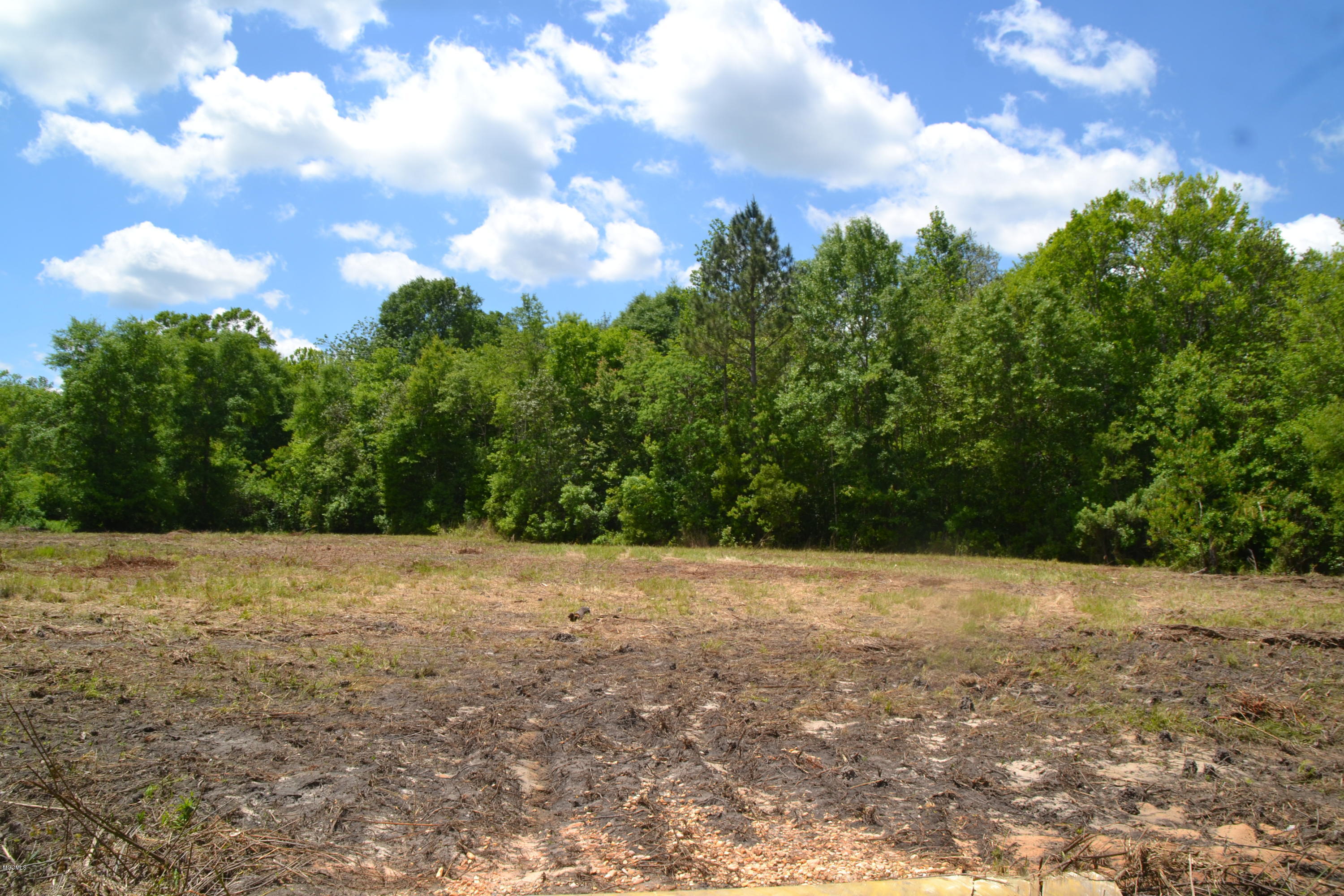 6357 Jordan Road Perkinston, MS 39573 - Photo 9 of 12 DSC_0075