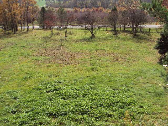 8191 Hirst Road Southeast Newark, OH 43056 - Photo 3 of 25