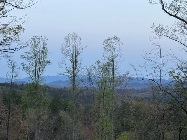 $1,950,000 | 3530 Grape Creek Road, Murphy, NC 28906