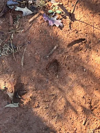 $1,850,000 | 3530 Grape Creek Road, Murphy, NC 28906