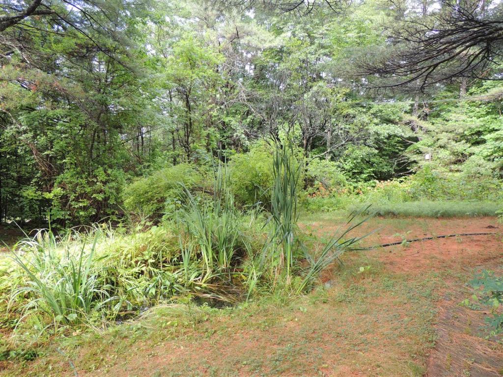 77 Winona Road Meredith, NH 03253 - Photo 3 of 32