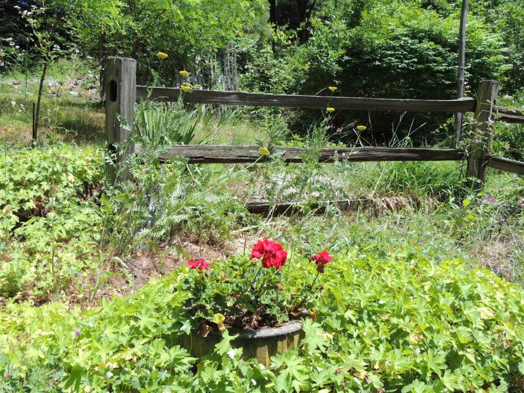 77 Winona Road Meredith, NH 03253 - Photo 32 of 32