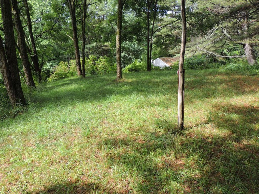 77 Winona Road Meredith, NH 03253 - Photo 5 of 32
