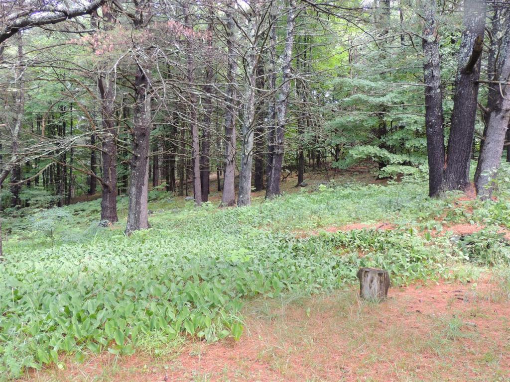 77 Winona Road Meredith, NH 03253 - Photo 8 of 32