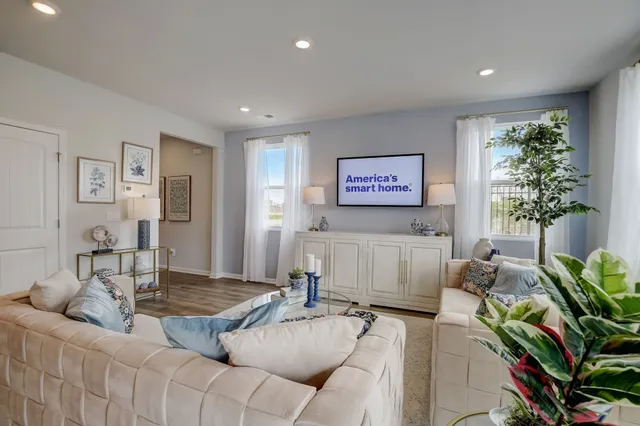 a living room with furniture and a potted plant