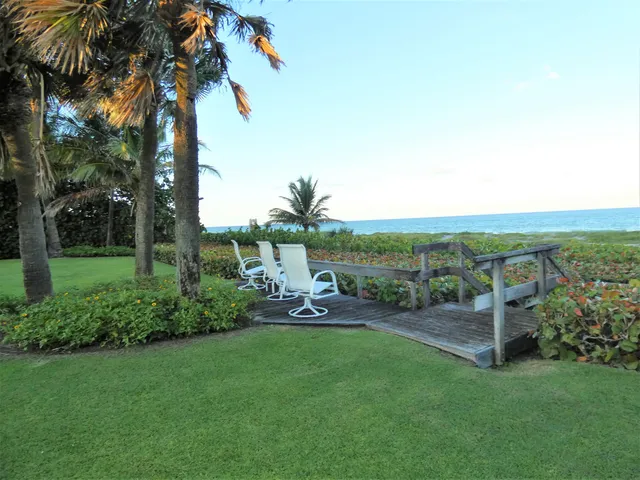 a view of a garden with lawn chairs under an umbrella