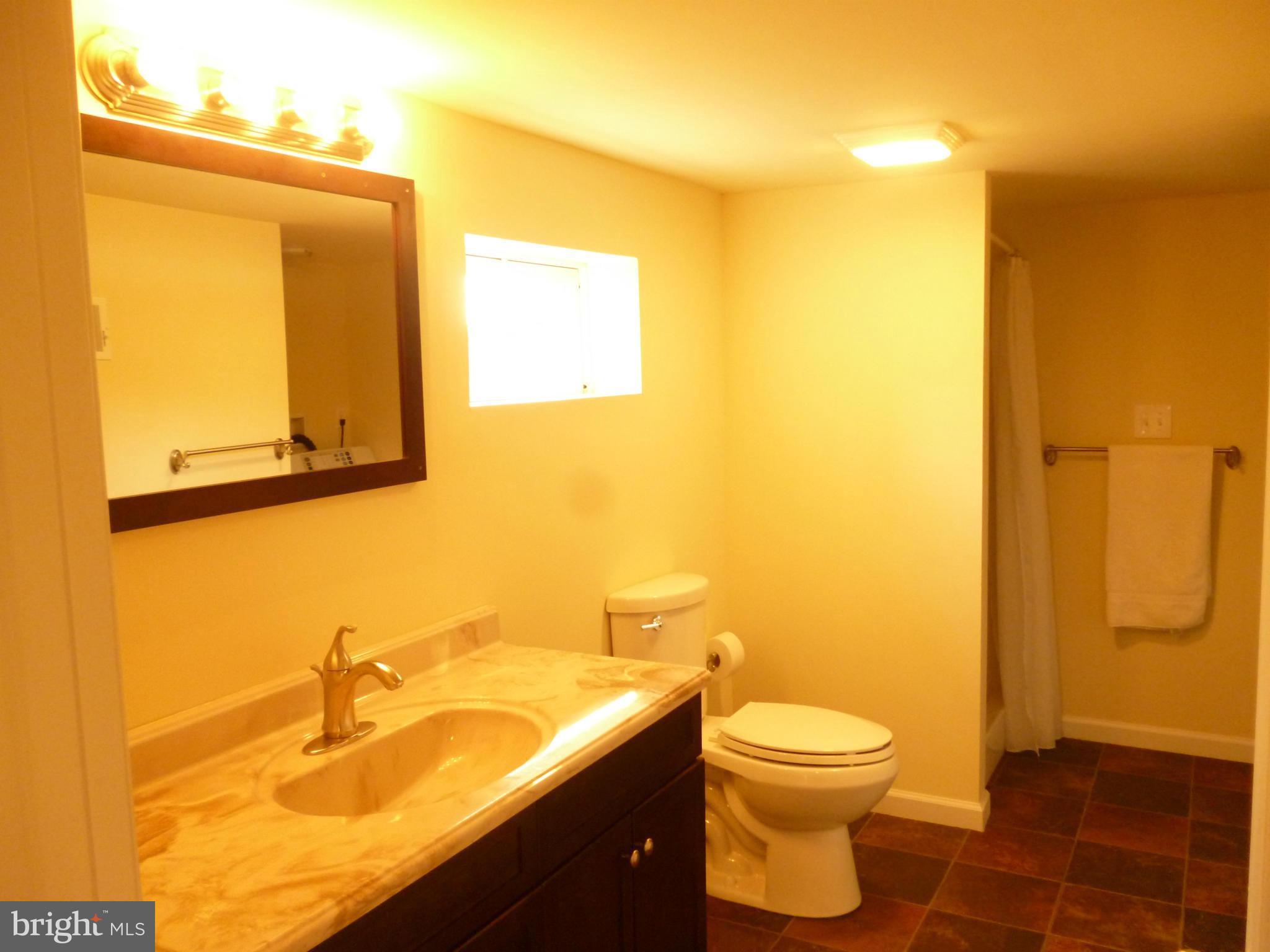 423 Ritter Road White Post, VA 22663 - Photo 14 of 20 Bath in basement