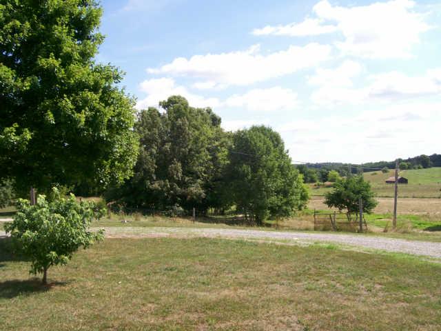482 White Road Portland, TN 37148 - Photo 17 of 19 Oh What Nature Hath Provided ! What A View !