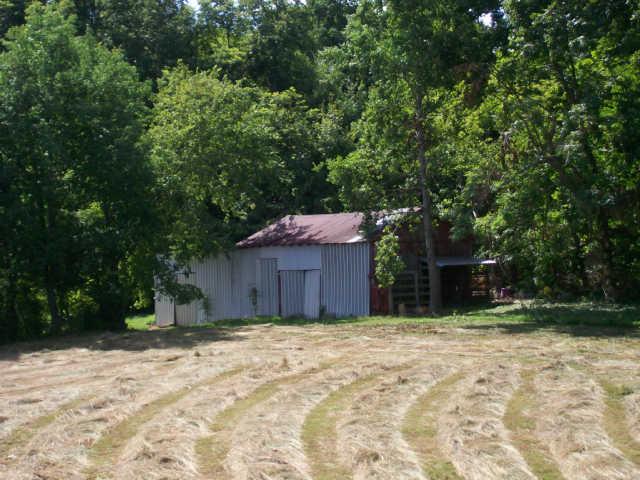 482 White Road Portland, TN 37148 - Photo 18 of 19 Bring The Horses ! Here's The Barn !