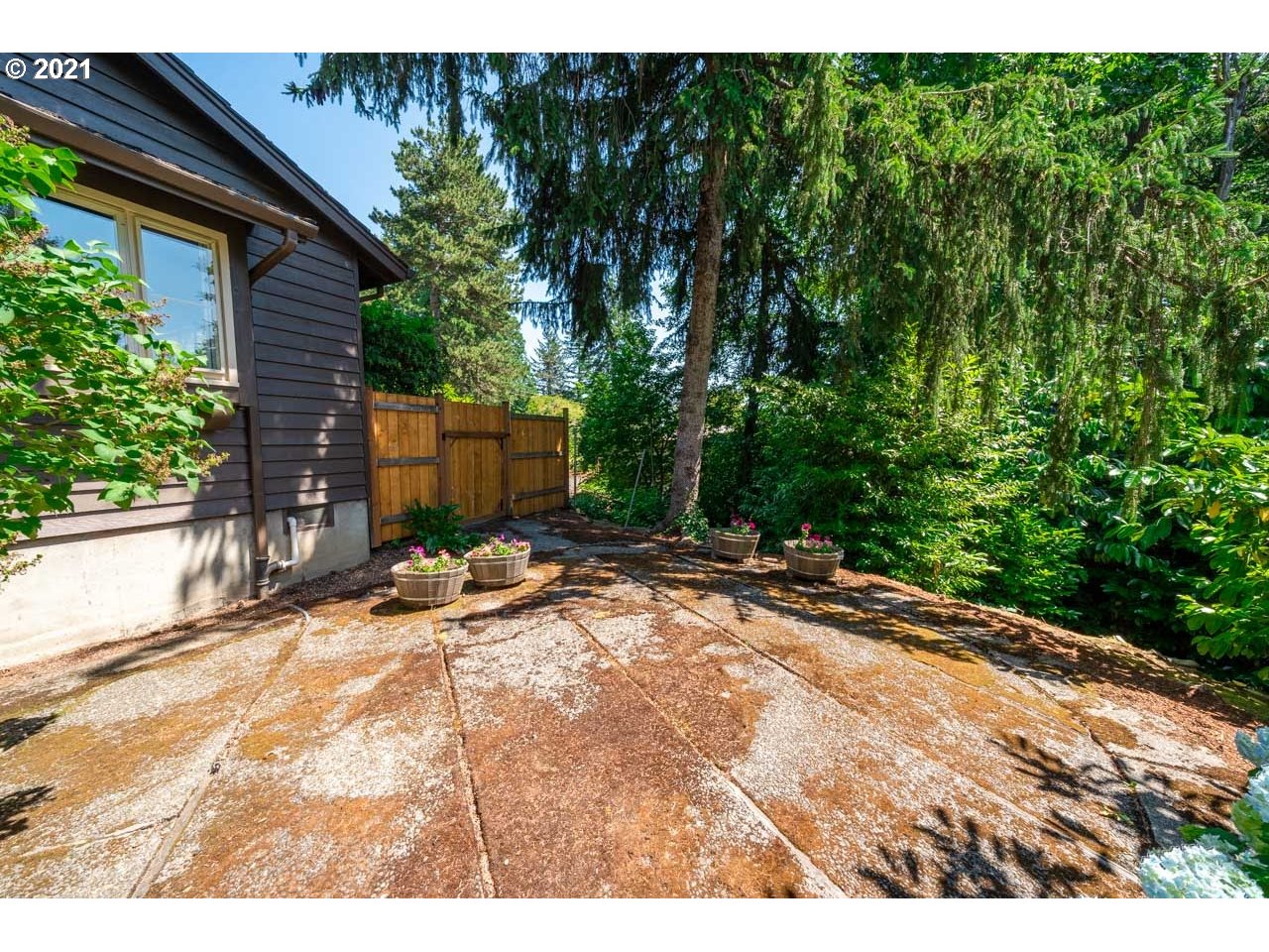3939 Southwest Altadena Avenue Portland, OR 97239 - Photo 23 of 31 a view of a backyard with a tree