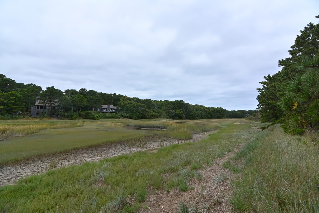 170 Blue Heron Road Wellfleet, MA 02667 - Photo 40 of 42