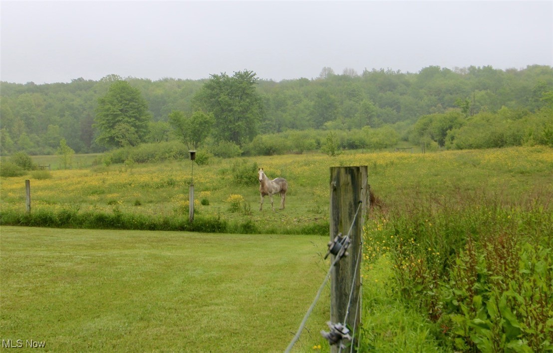 9229 Bascom Road Chardon, OH 44024 - Photo 44 of 45 Pastures