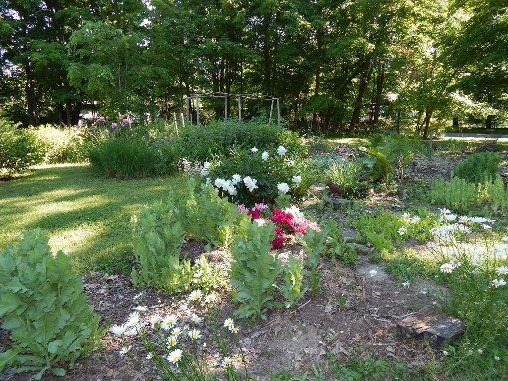 19 Chapel Road Amherst, MA 01002 - Photo 23 of 36