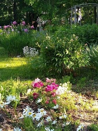 19 Chapel Road Amherst, MA 01002 - Photo 25 of 36