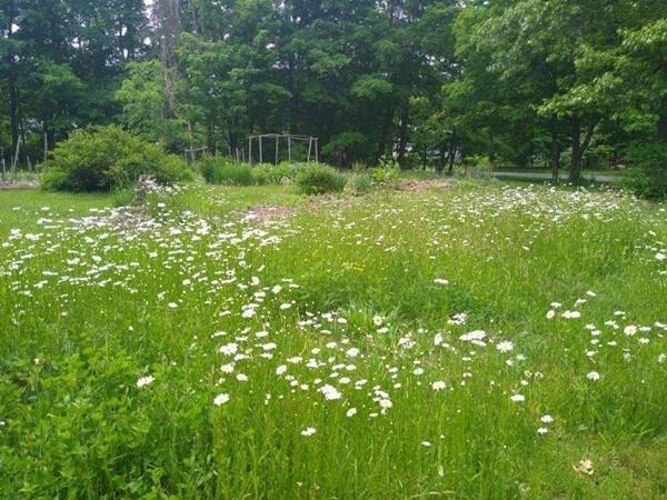 19 Chapel Road Amherst, MA 01002 - Photo 26 of 36