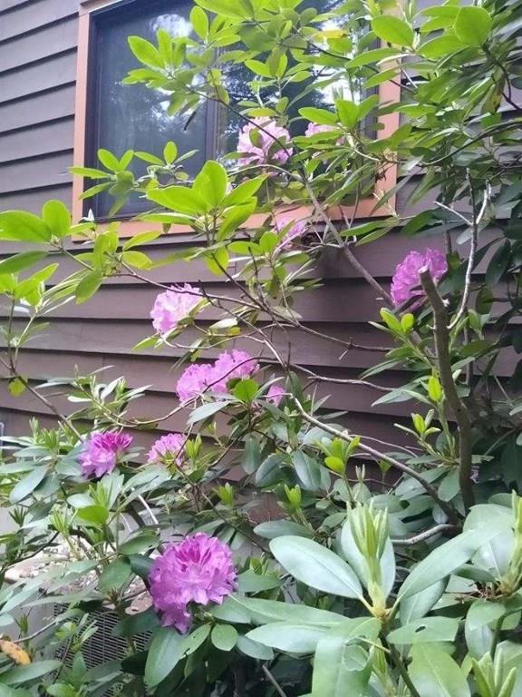 19 Chapel Road Amherst, MA 01002 - Photo 27 of 36