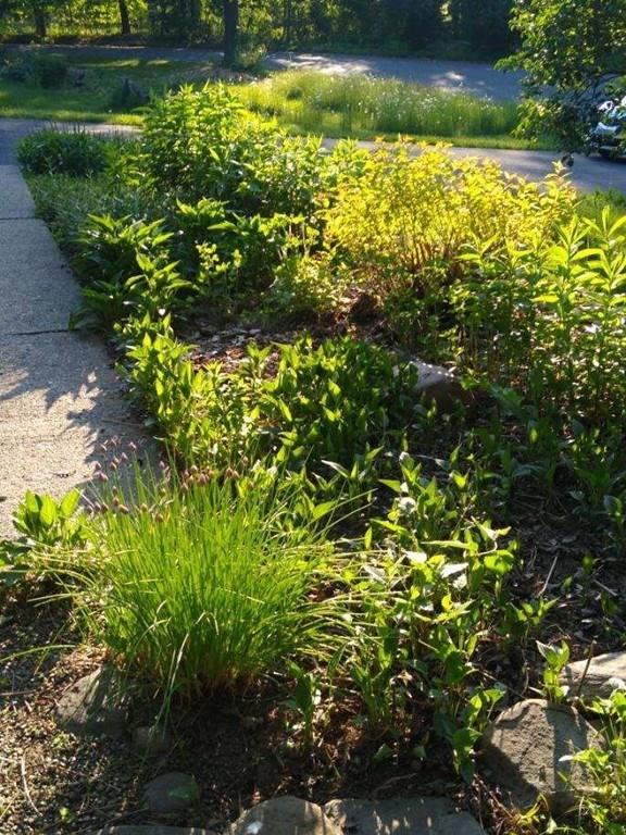 19 Chapel Road Amherst, MA 01002 - Photo 28 of 36